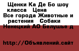 Щенки Ка Де Бо шоу класса › Цена ­ 60 000 - Все города Животные и растения » Собаки   . Ненецкий АО,Белушье д.